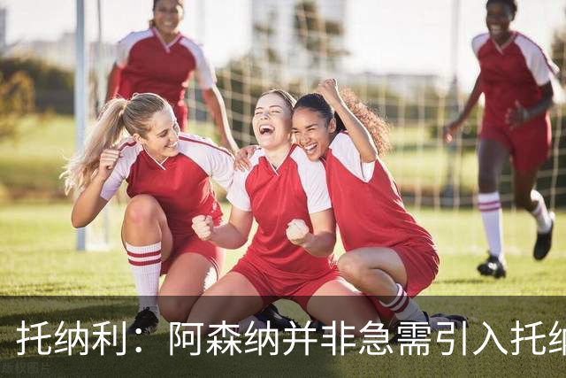 托纳利：阿森纳并非急需引入托纳利，不应花1亿英镑买他